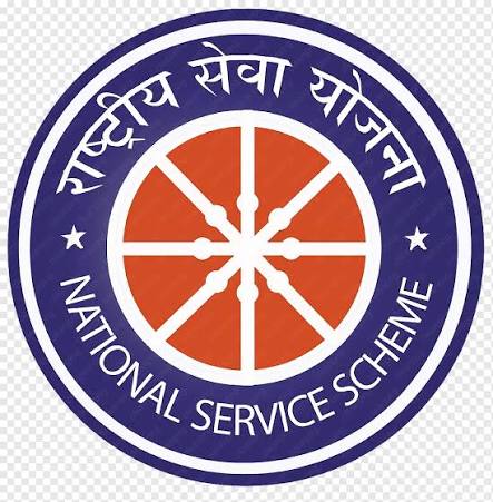NSS Logo